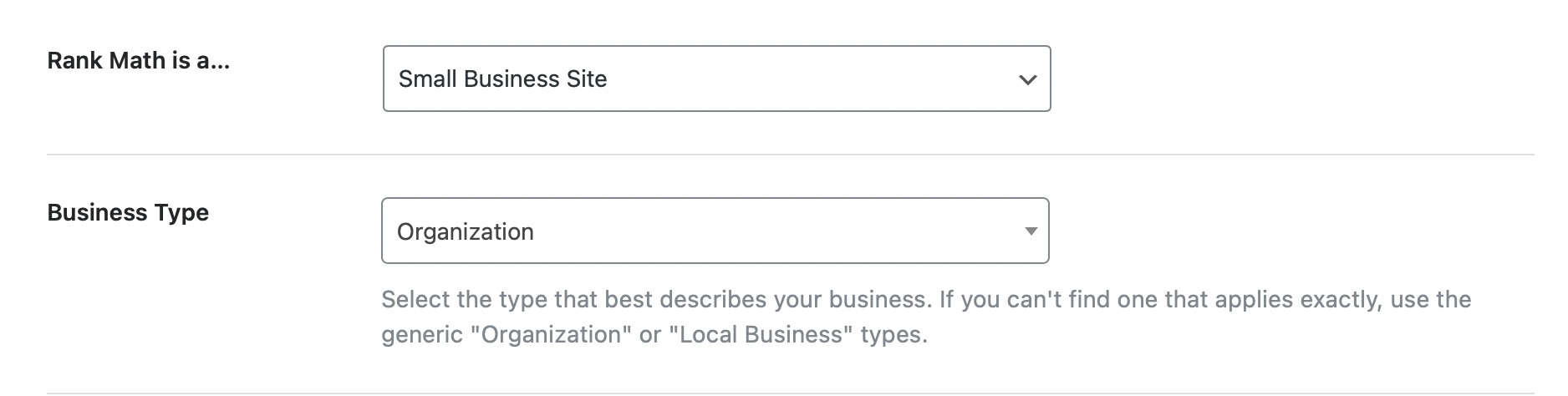 Rank Math Setup Wizard - business type options