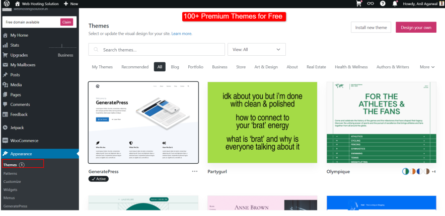 100+ premium themes you get with wordpress hosting subscription
